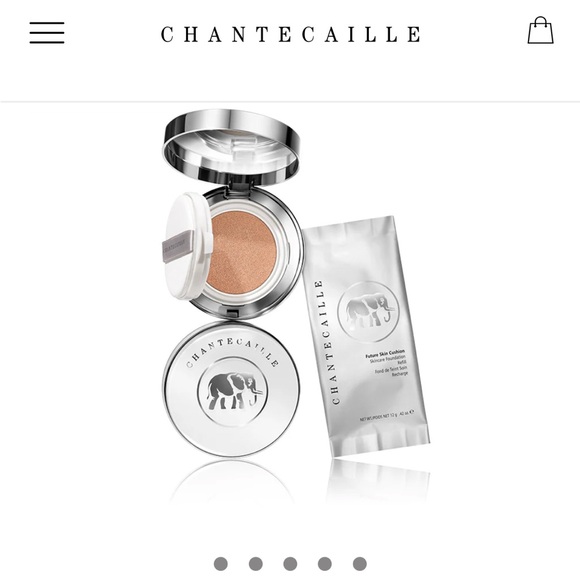 Chantecaille Other - ✨ Chantecaille Future Skin Cushion Foundation Refill – Alabaster – NEW ✨